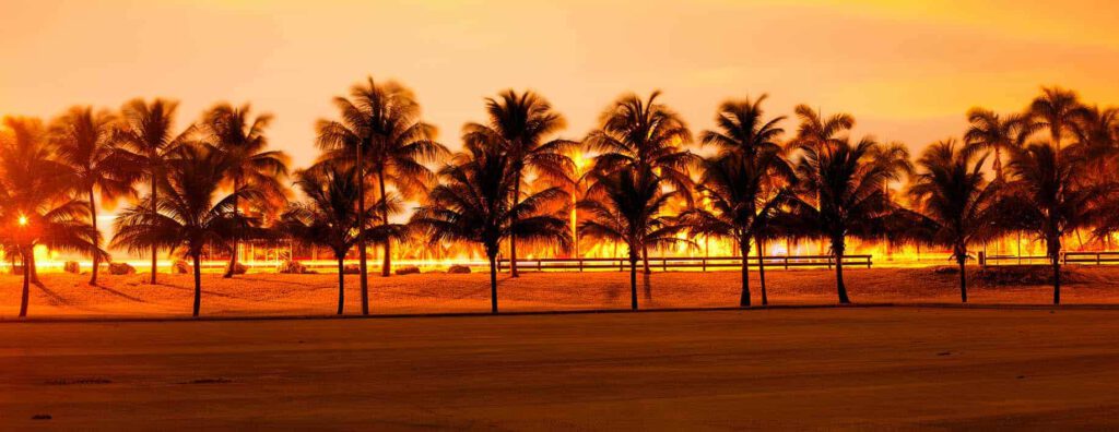 Florida and Orlando Villa Web Design